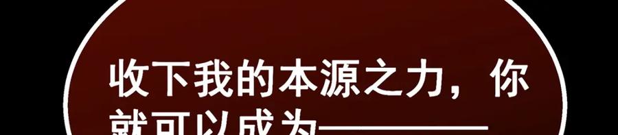 第246页