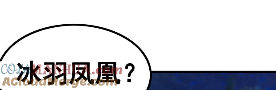 第250页