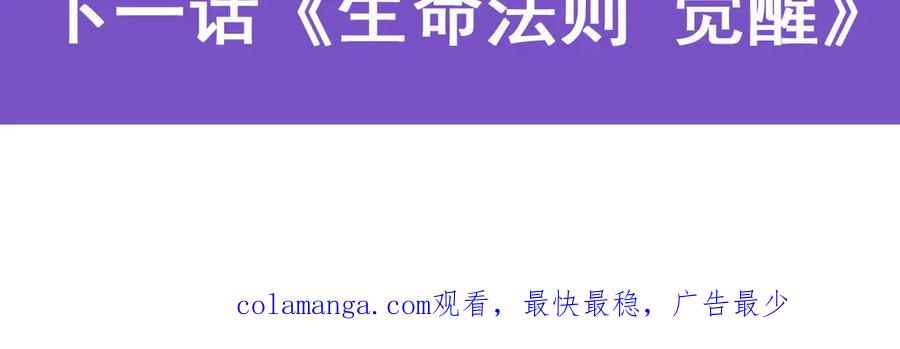 第300页