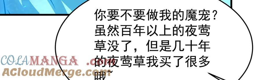 第250页