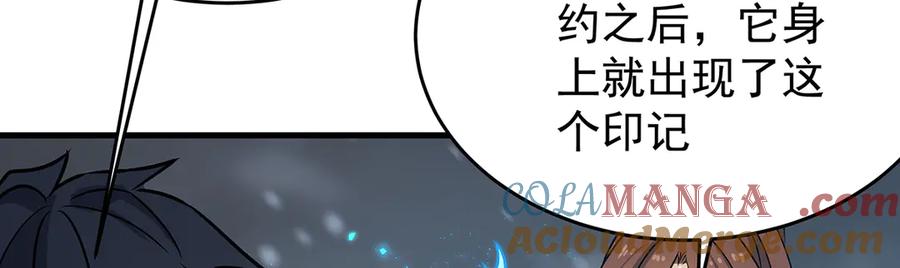 第282页