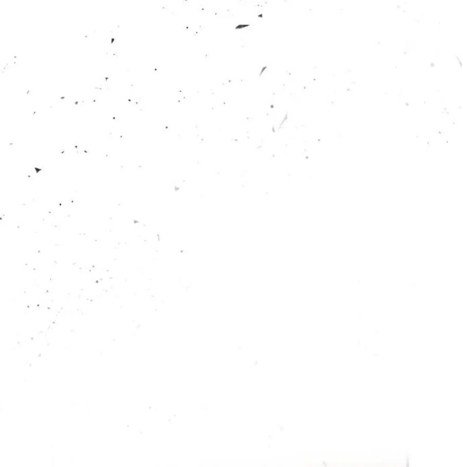 第194页