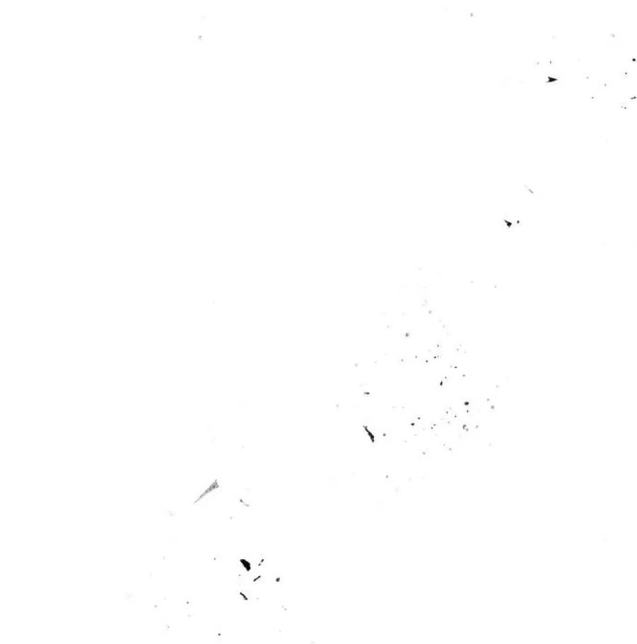 第203页