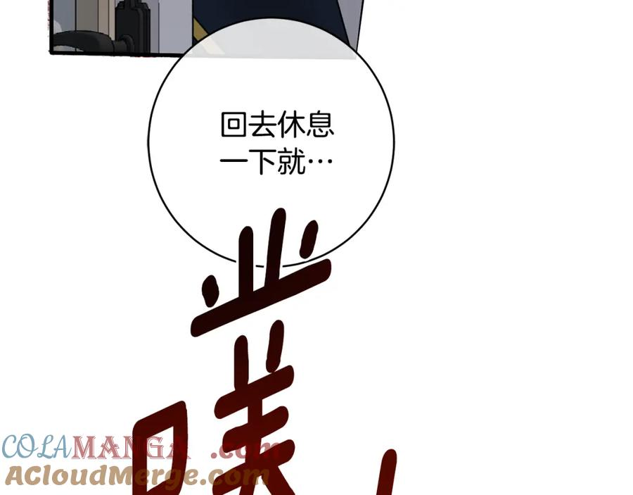 第529页