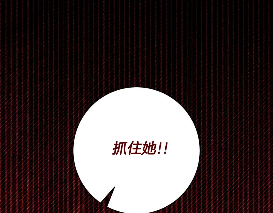 第223页