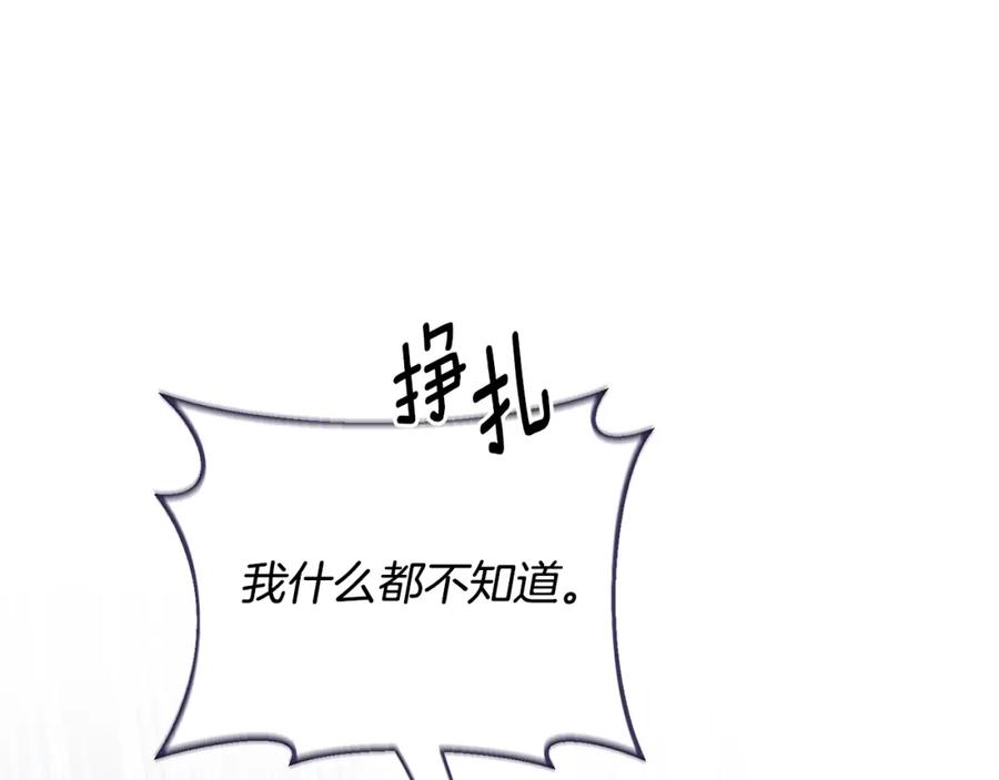 第256页