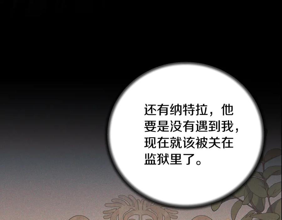 第511页