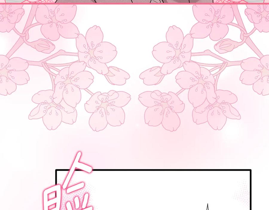 第535页