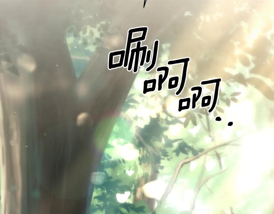 第214页