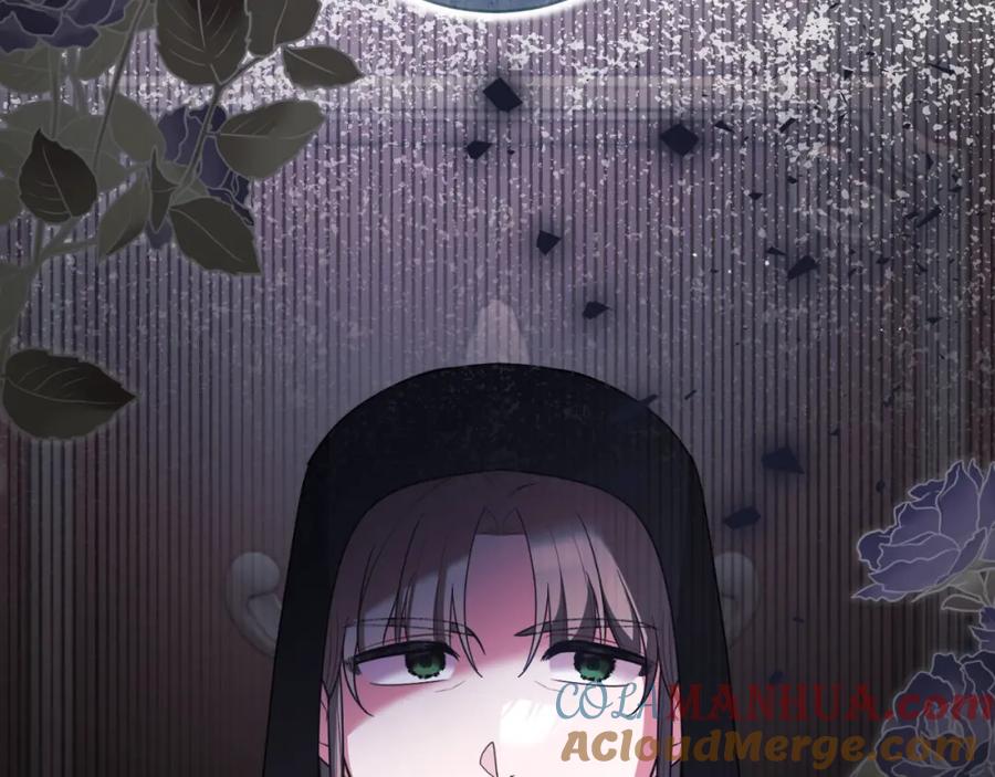 第233页