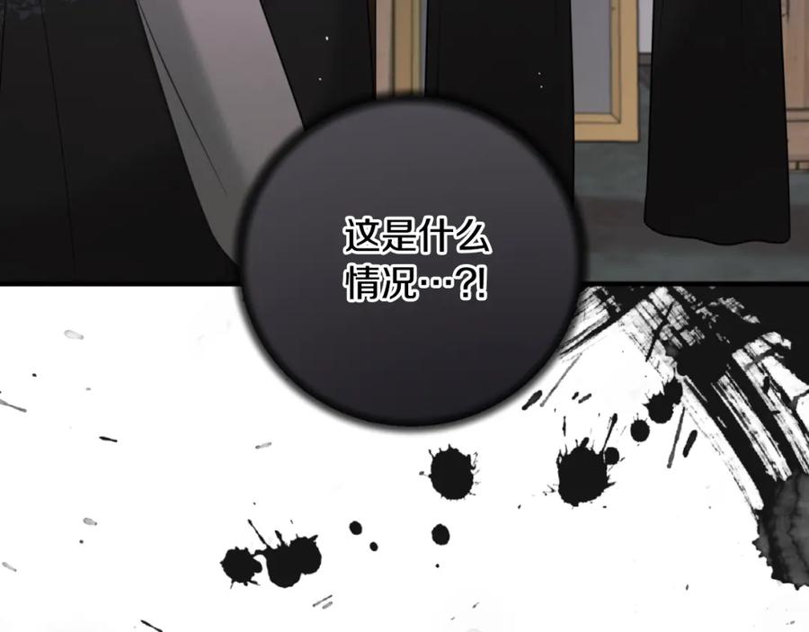 第243页