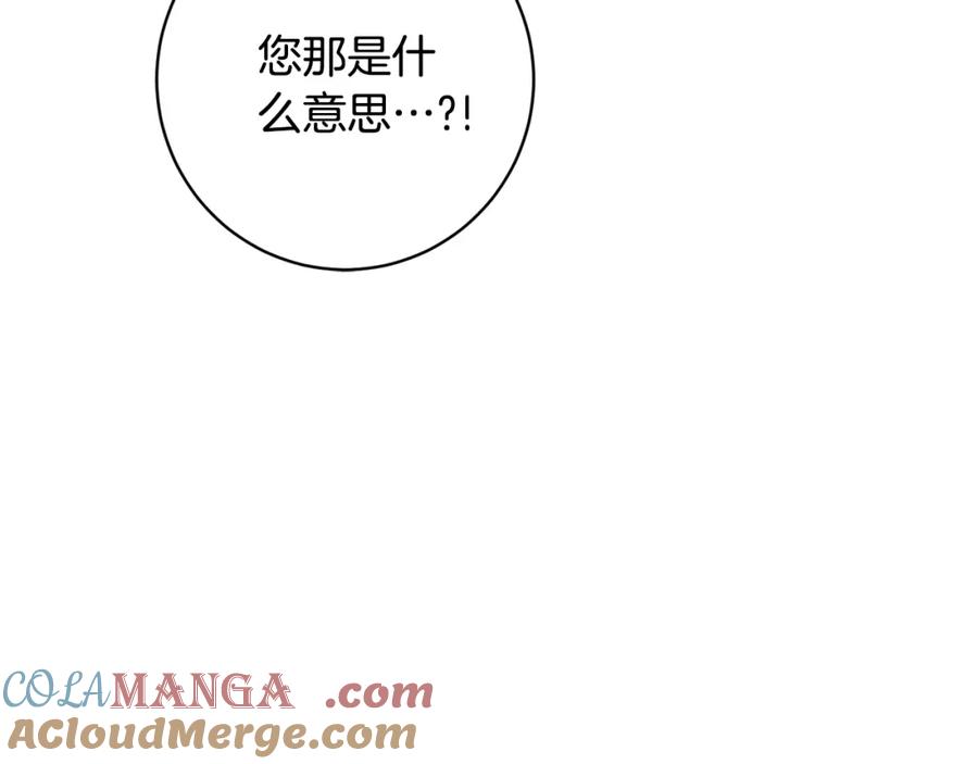 第482页