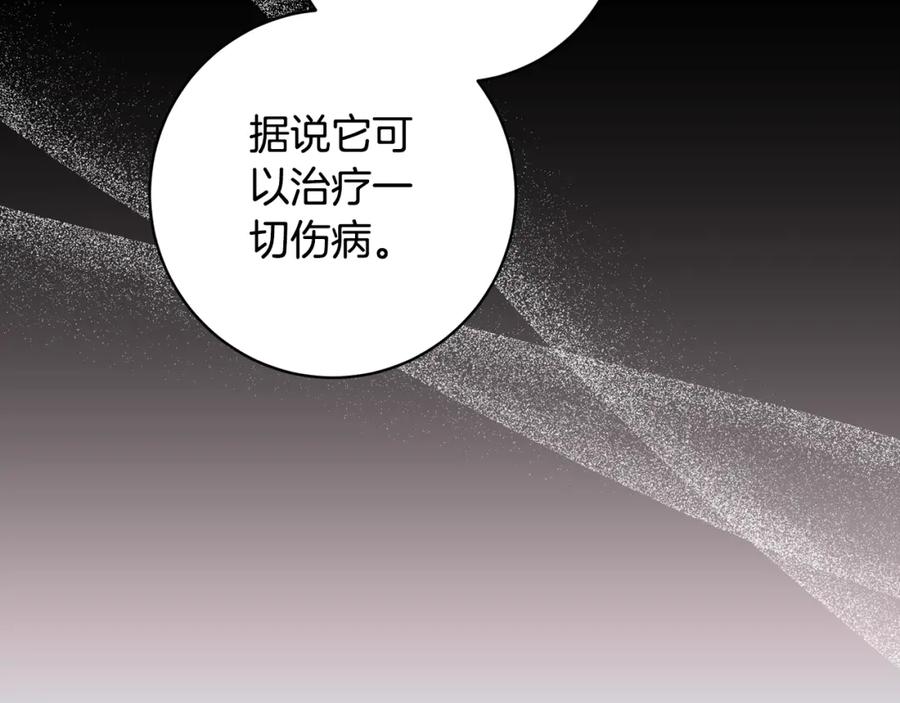 第377页
