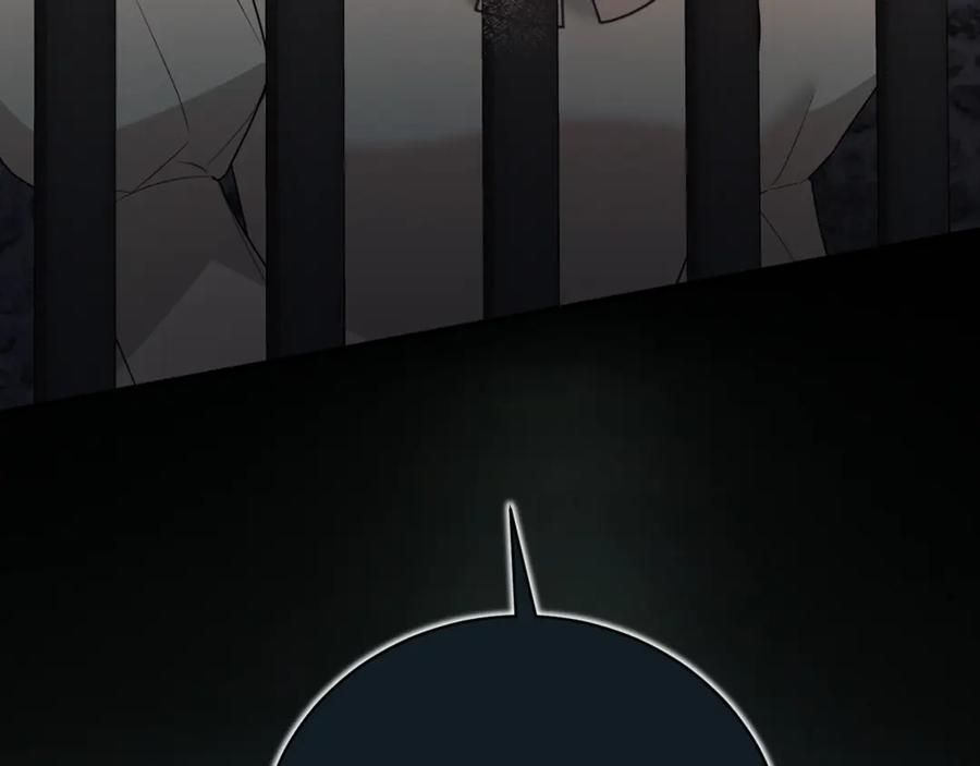 第428页