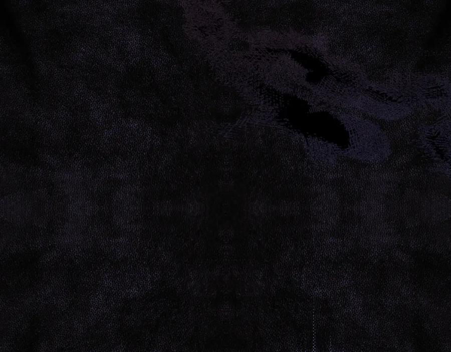 第191页