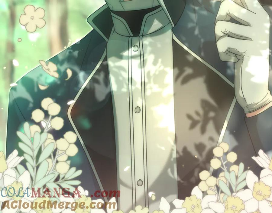 第242页