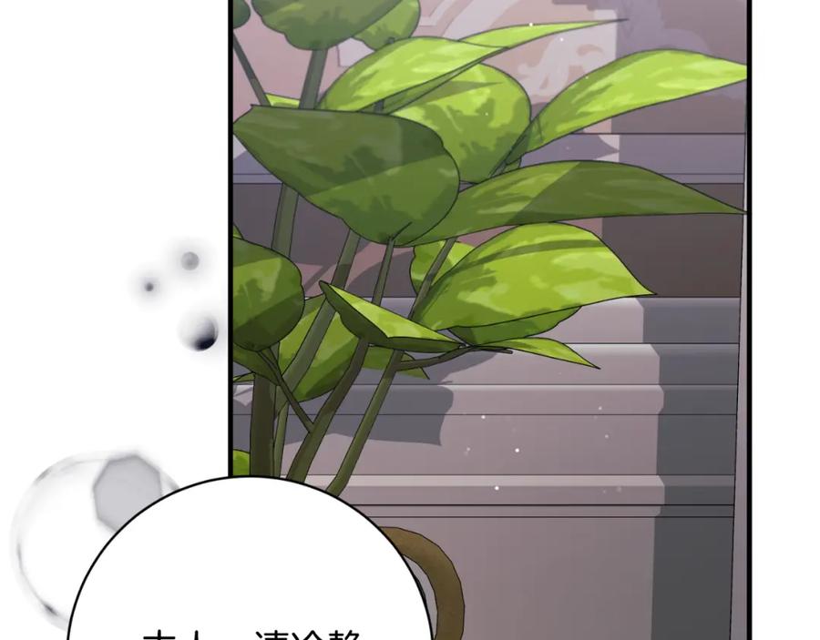 第525页