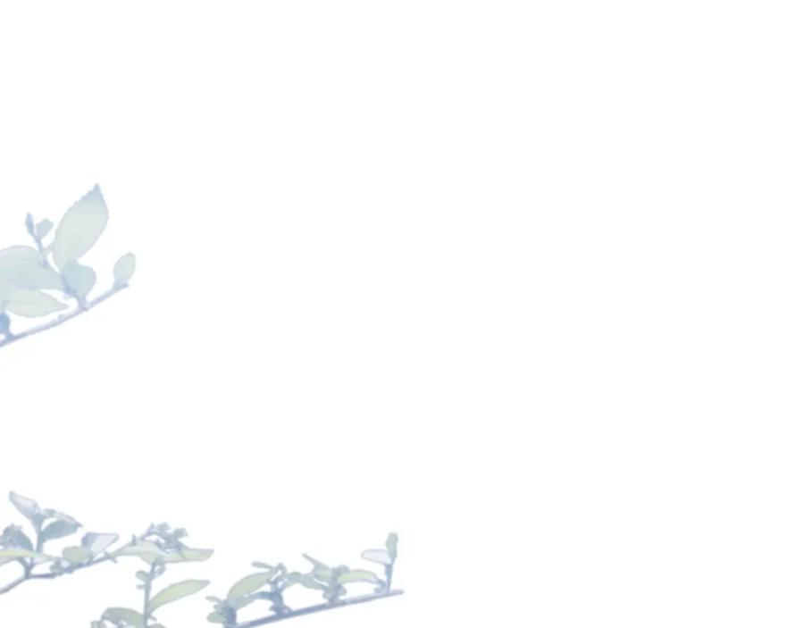 第405页