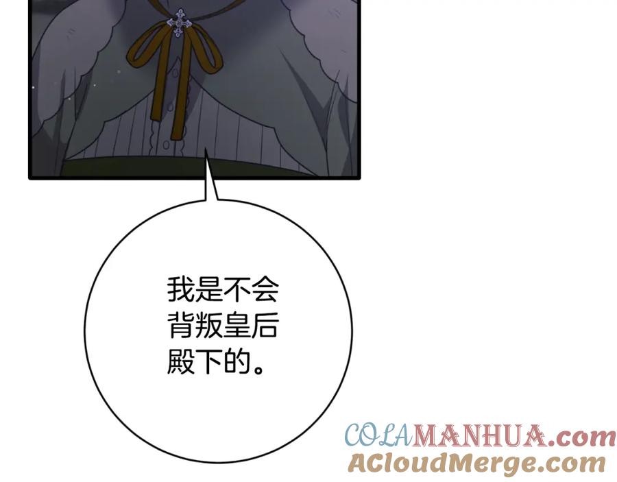 第243页