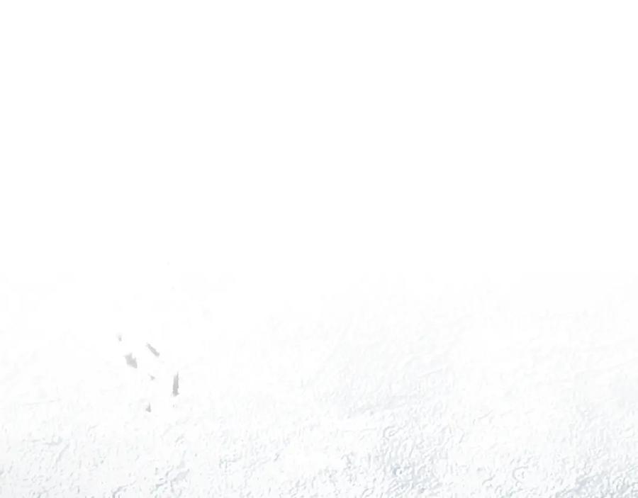 第252页