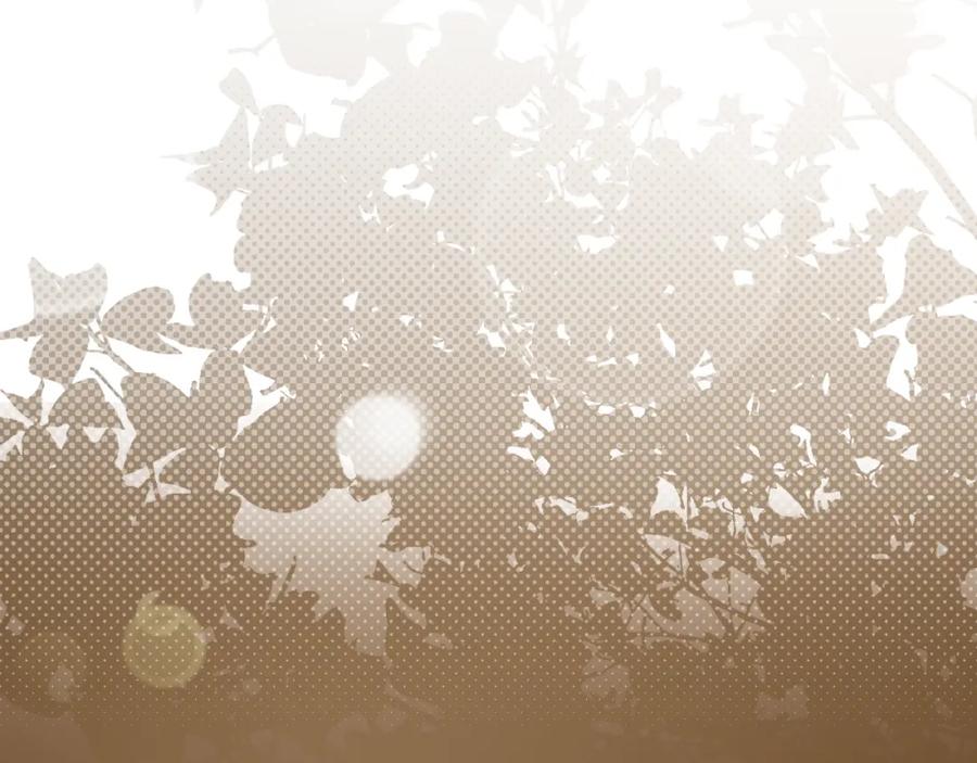 第306页