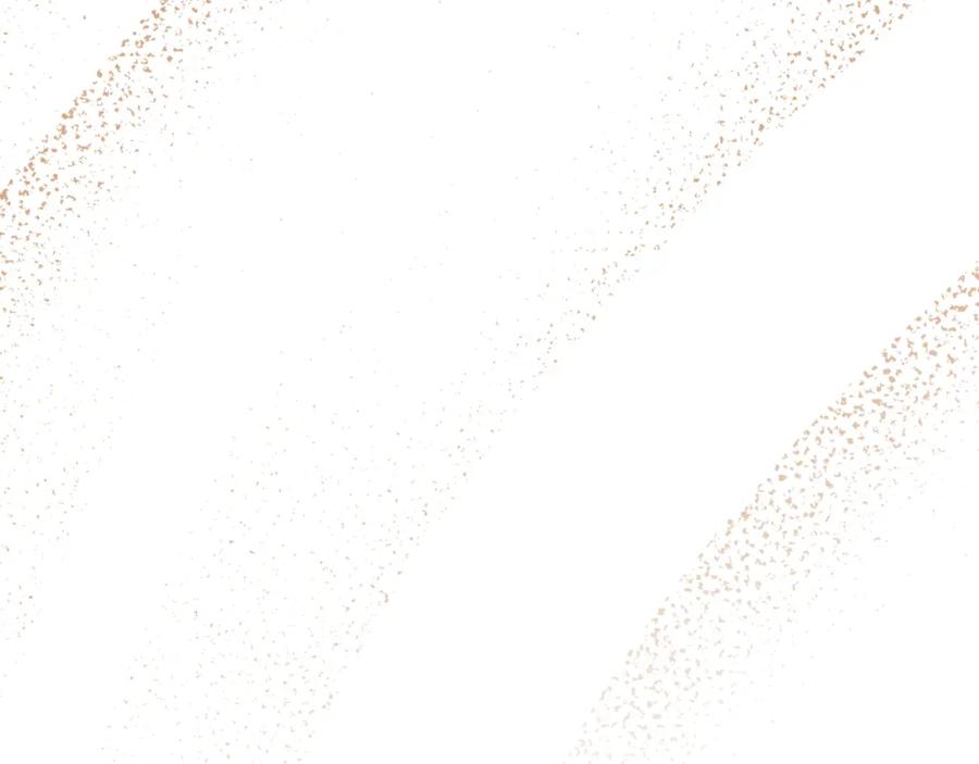 第438页