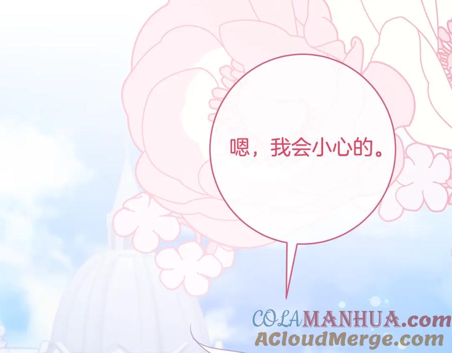 第243页