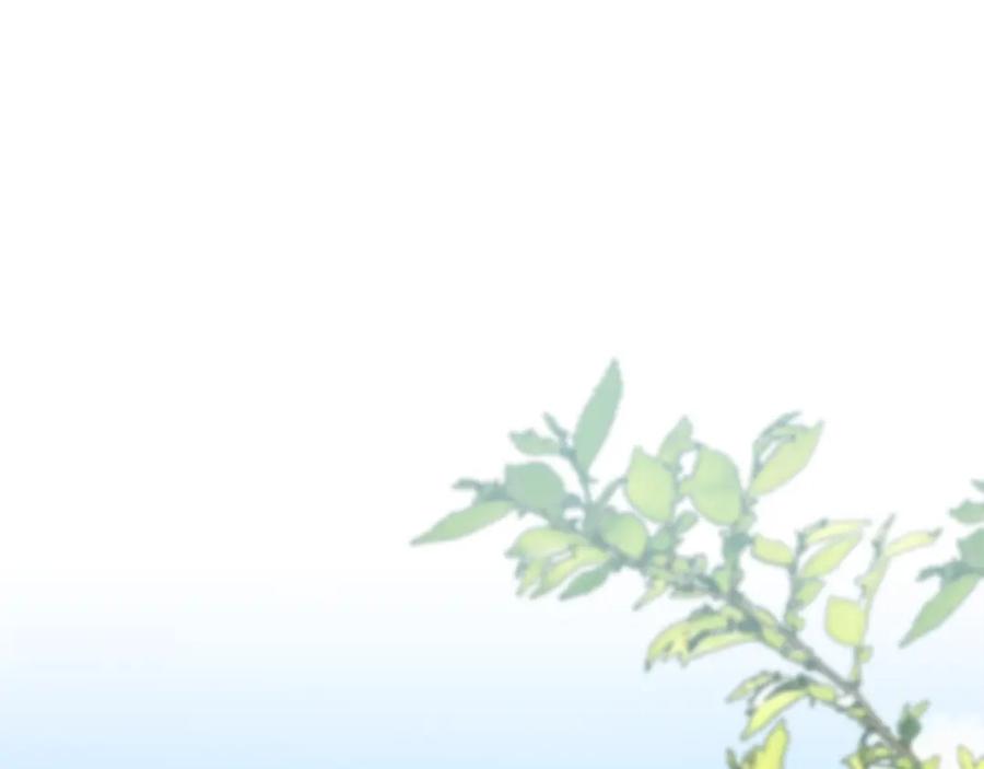 第489页