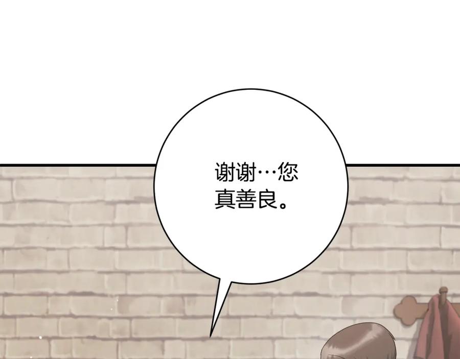 第294页