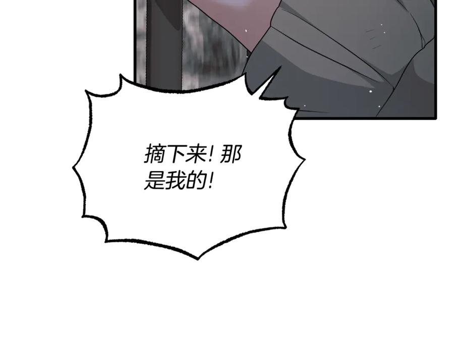 第441页