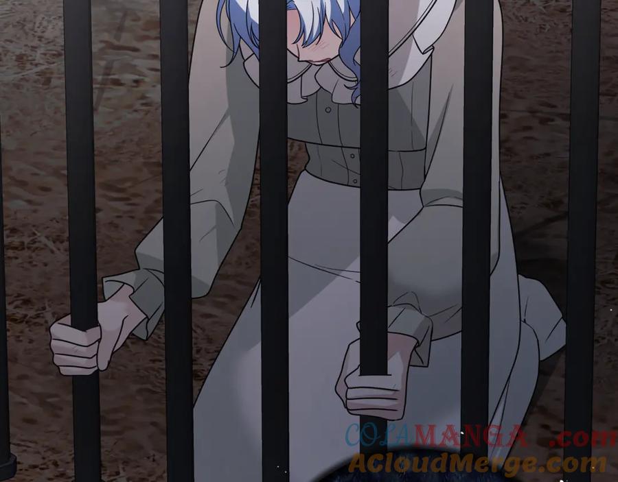 第543页