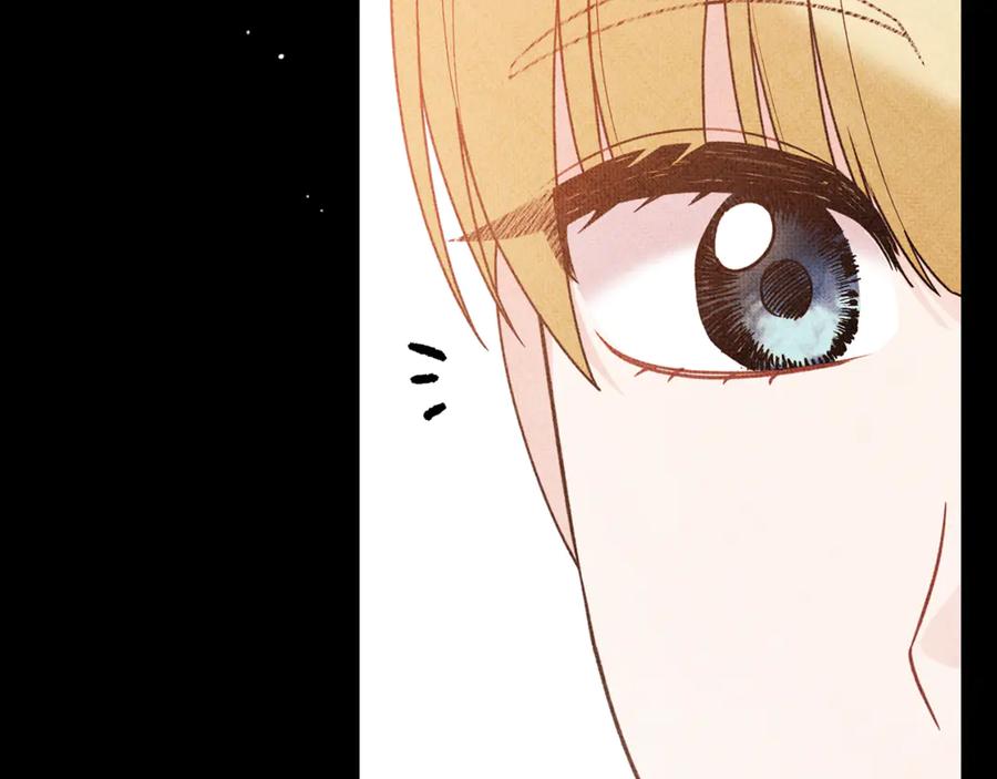 第273页