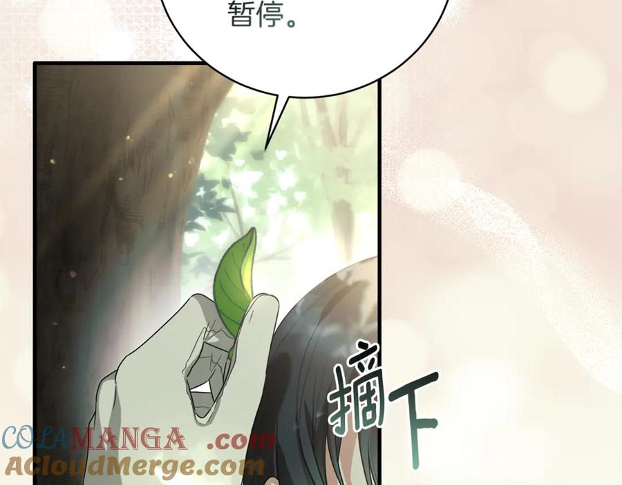 第231页