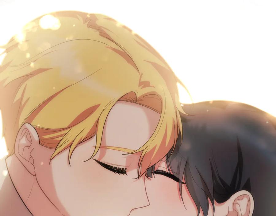 第528页