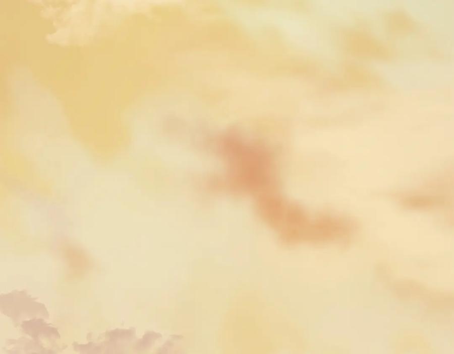 第203页