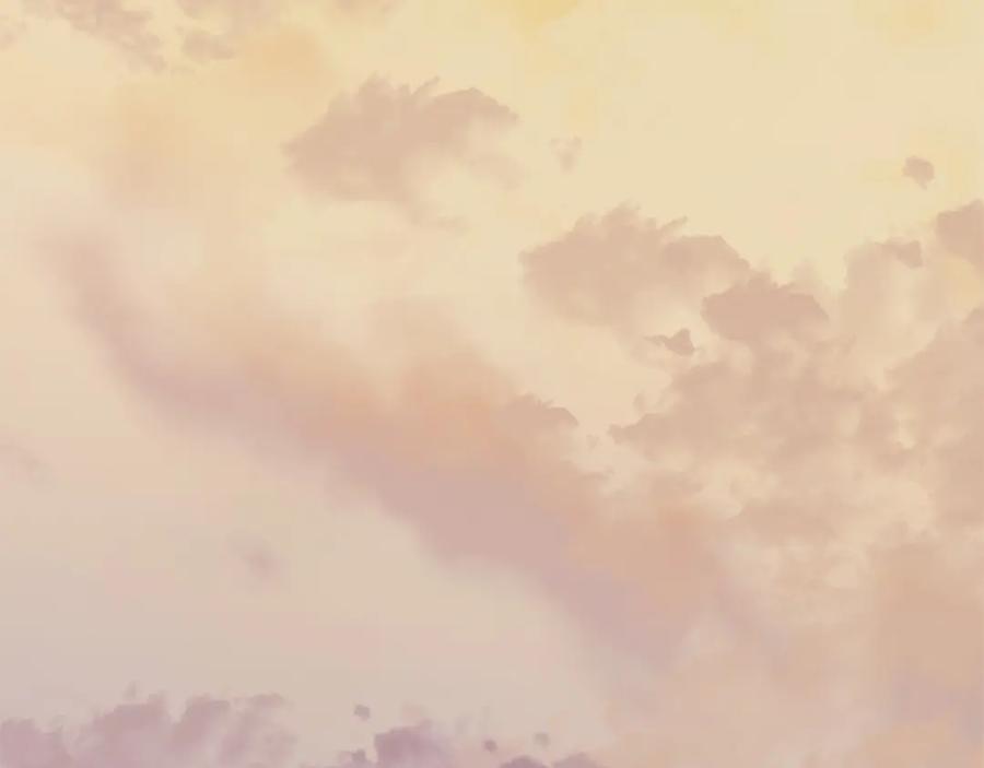 第204页