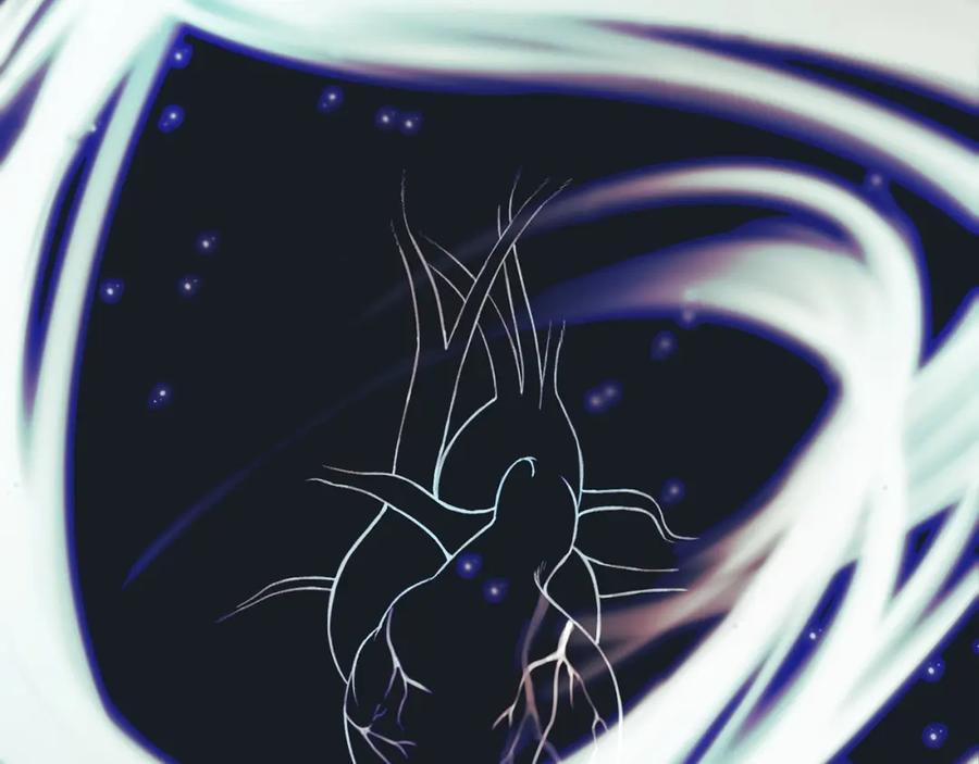 第107页