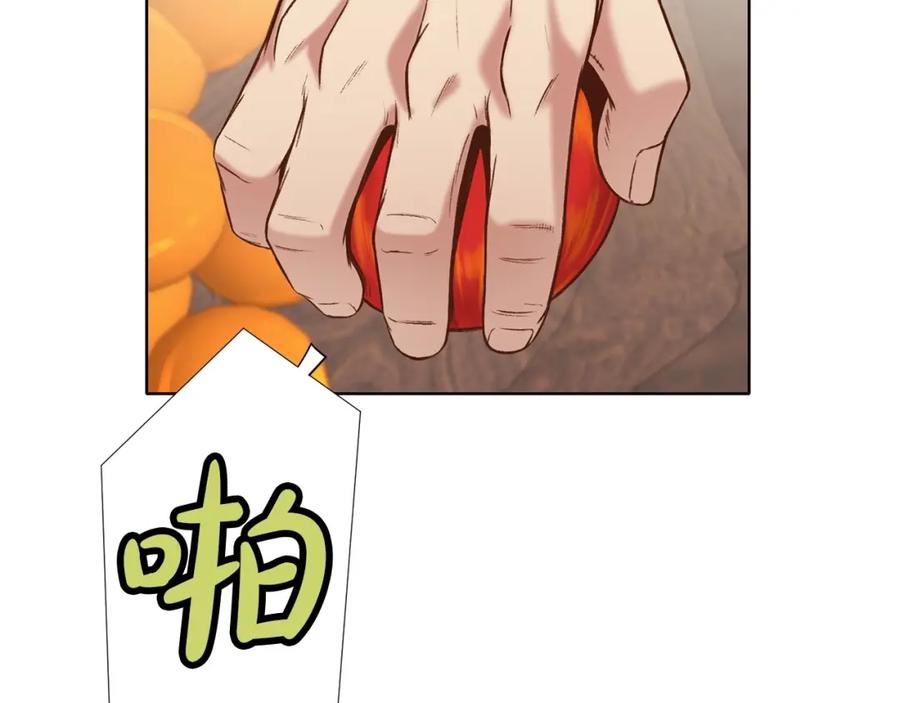 第204页
