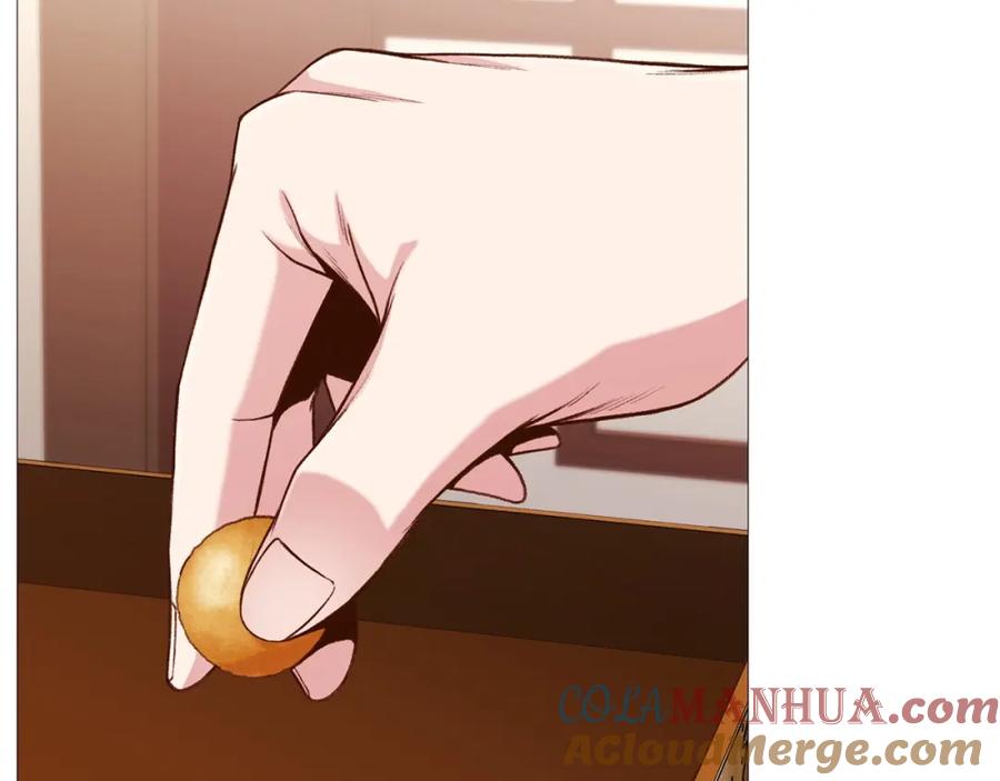 第236页