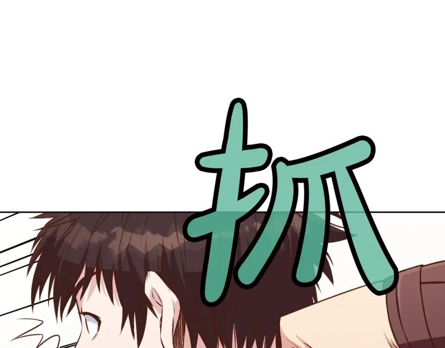 第231页