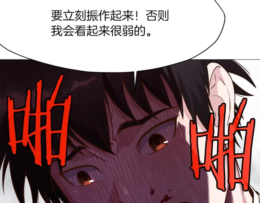 第206页