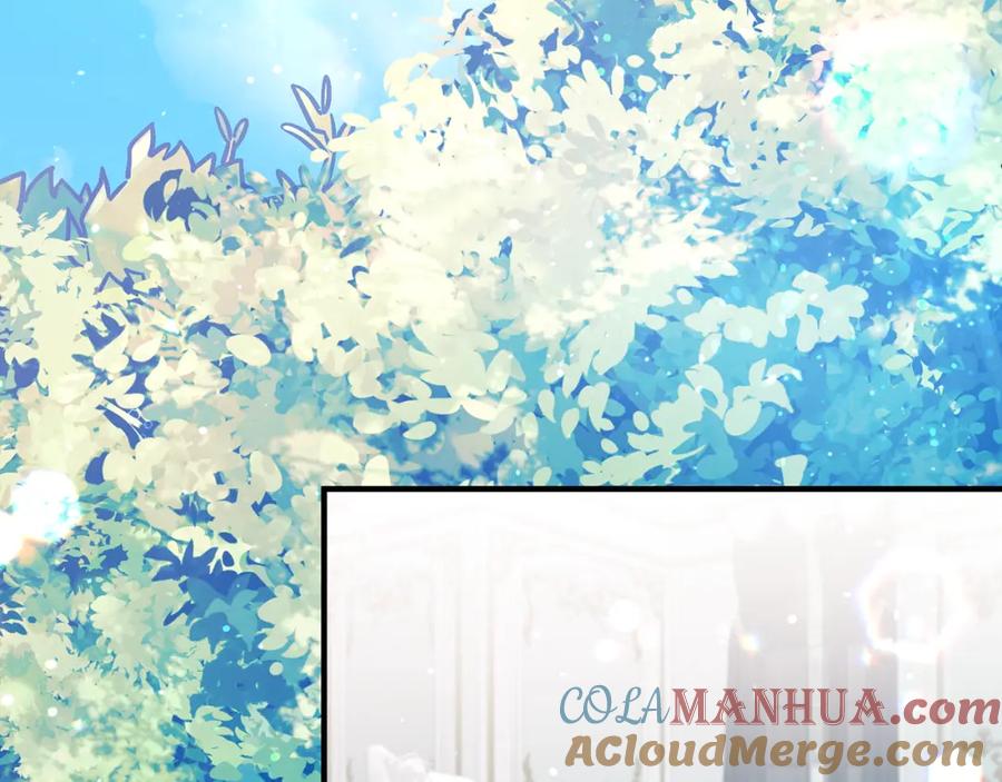第205页