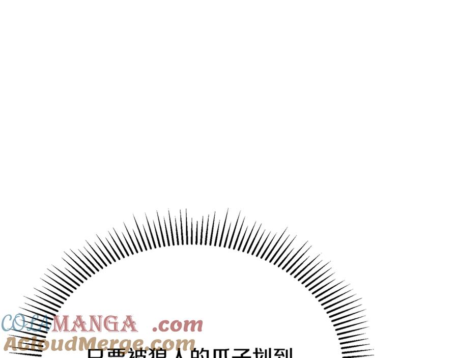 第221页