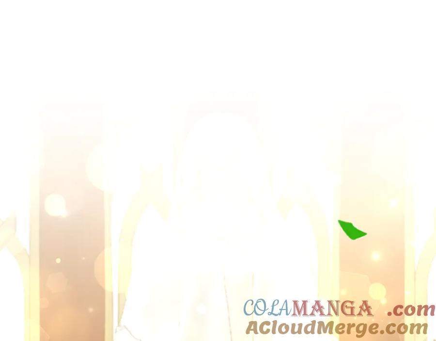 第217页