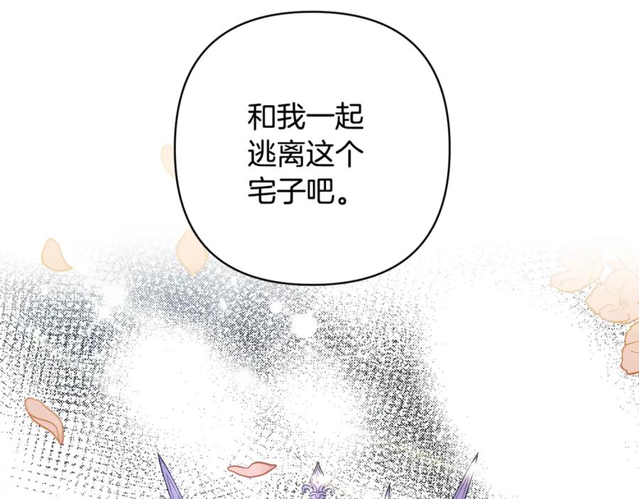 第215页