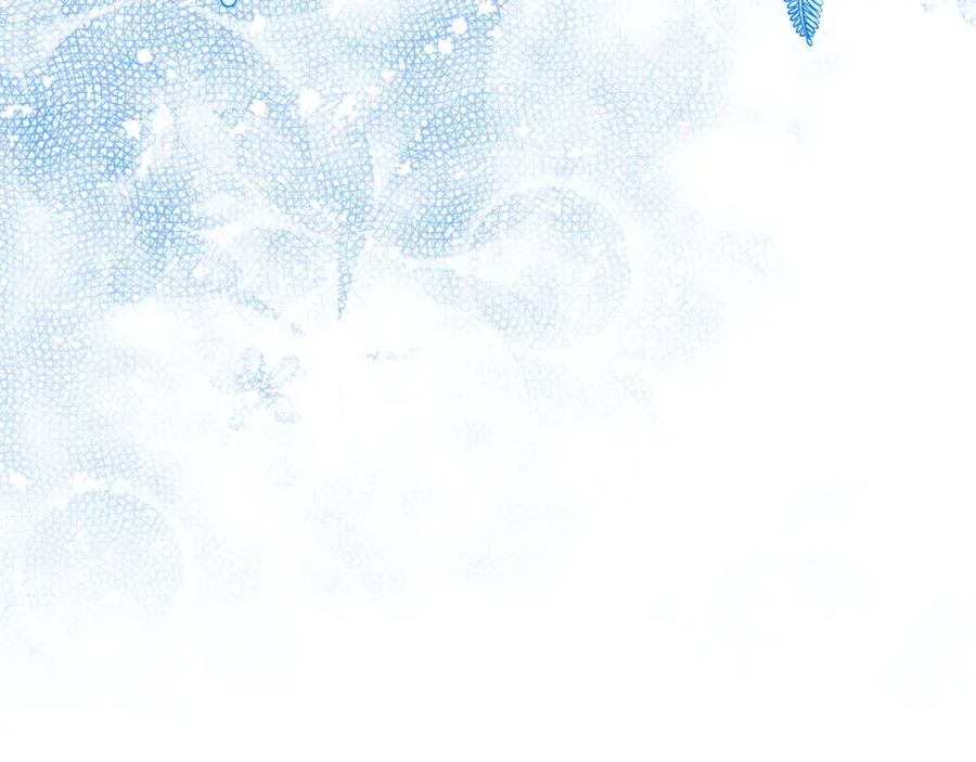 第204页