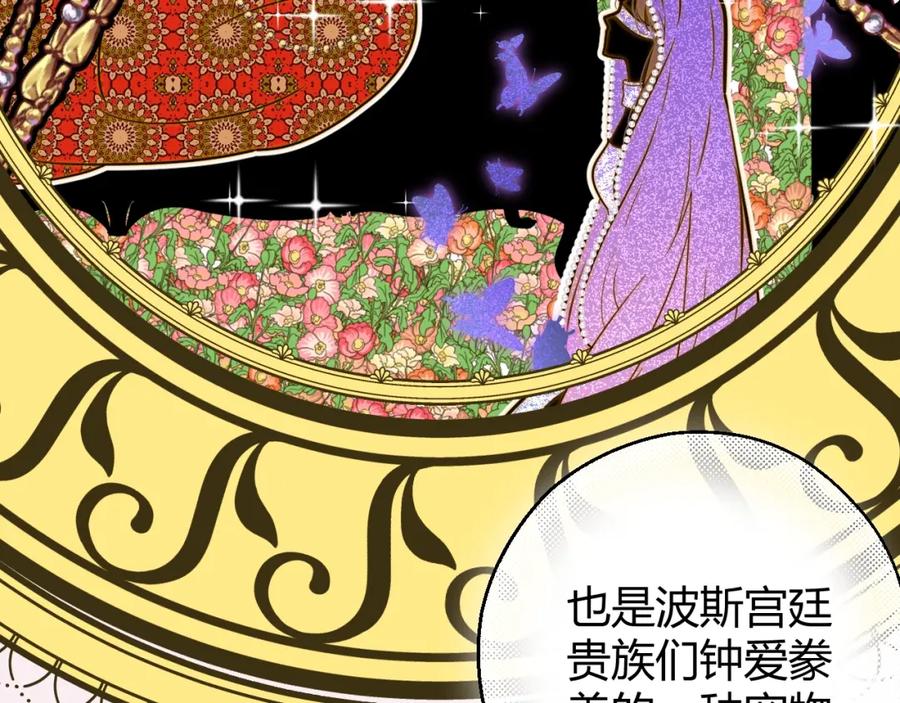 第204页