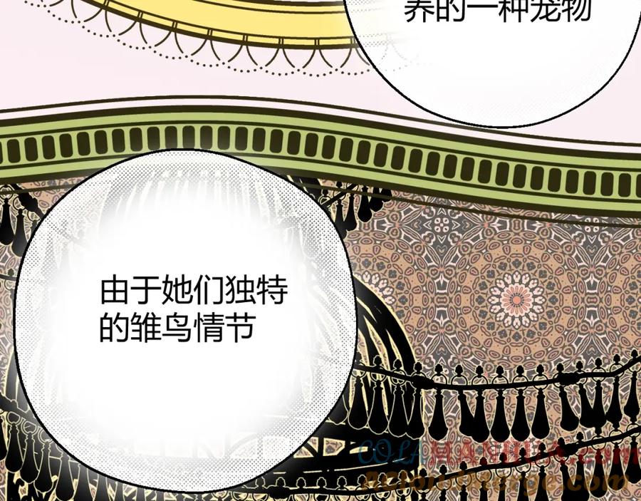 第205页