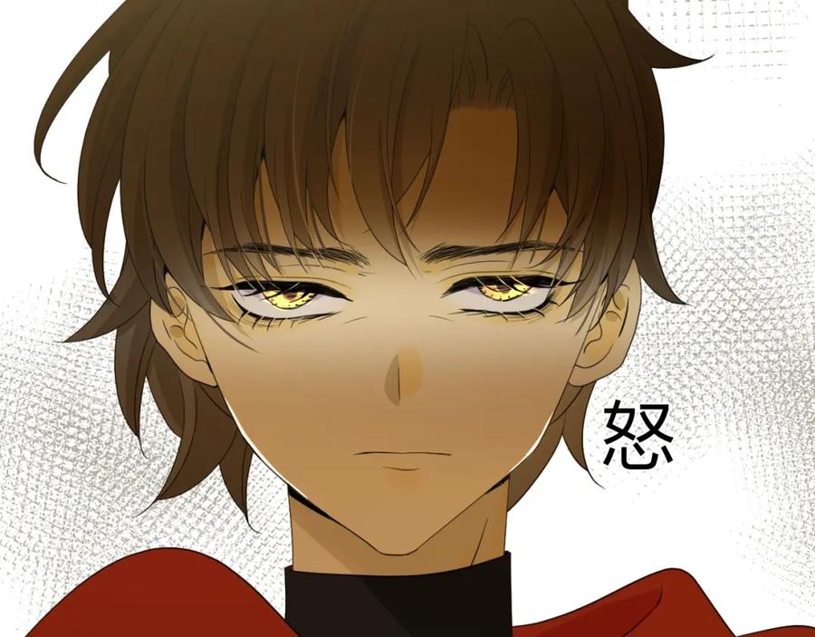第219页