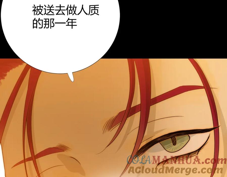 第205页